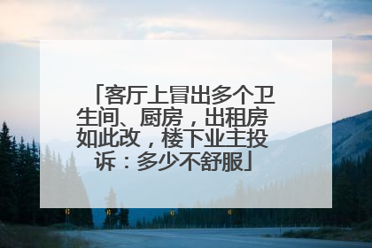 客厅上冒出多个卫生间、厨房，出租房如此改，楼下业主投诉：多少不舒服